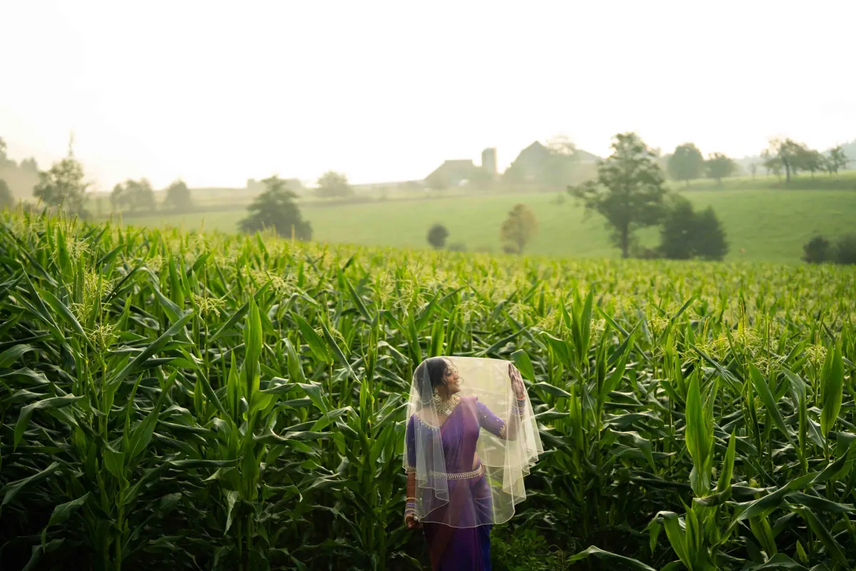 A bride standing in a tall green field